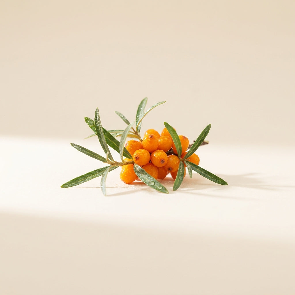 Sea buckthorn